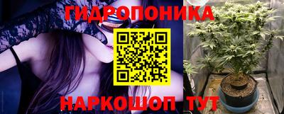 спиды Заволжье