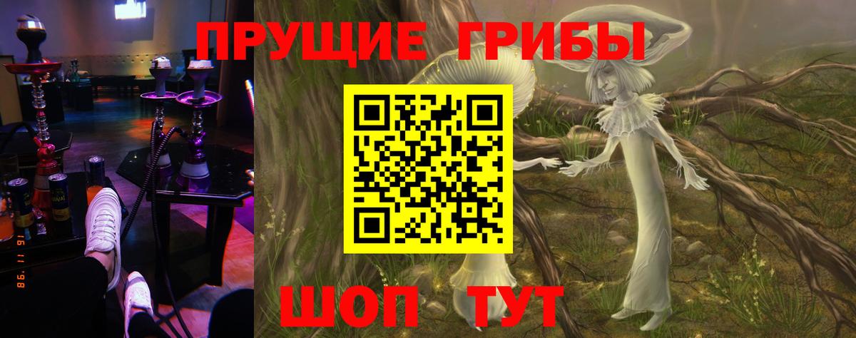 Галлюциногенные грибы Psilocybe Ликино-Дулёво